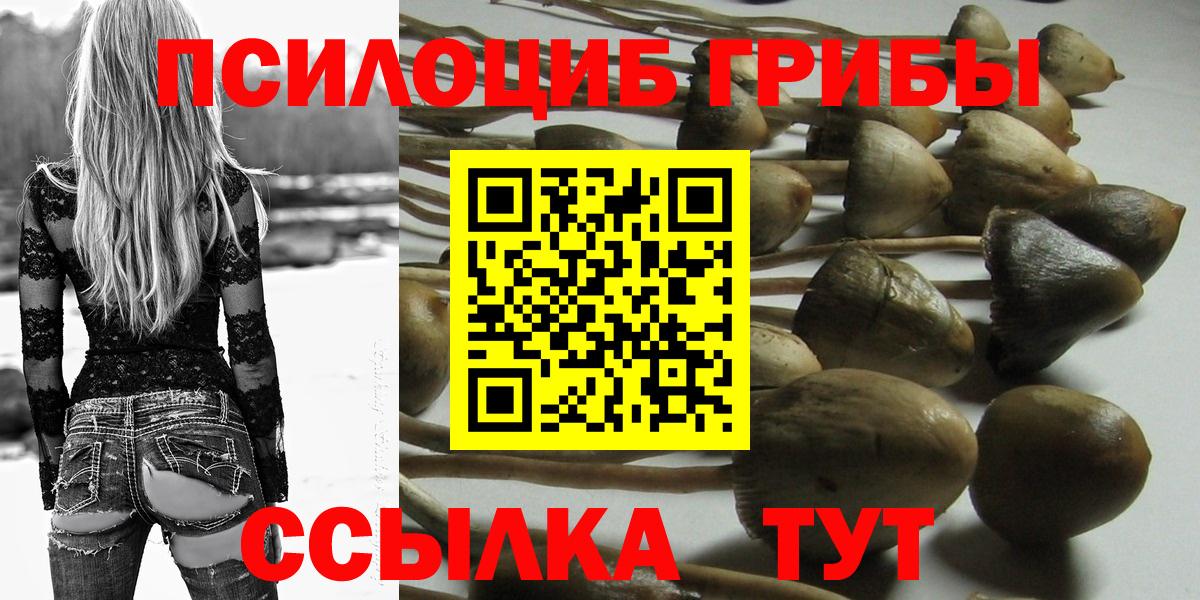 Борзя  Галлюциногенные грибы Psilocybine cubensis  Вход с VPN  Псилоцибиновые грибы Psilocybe 